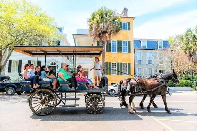 Enjoy learning about Charleston history on one of the best horse carriage tours downtown