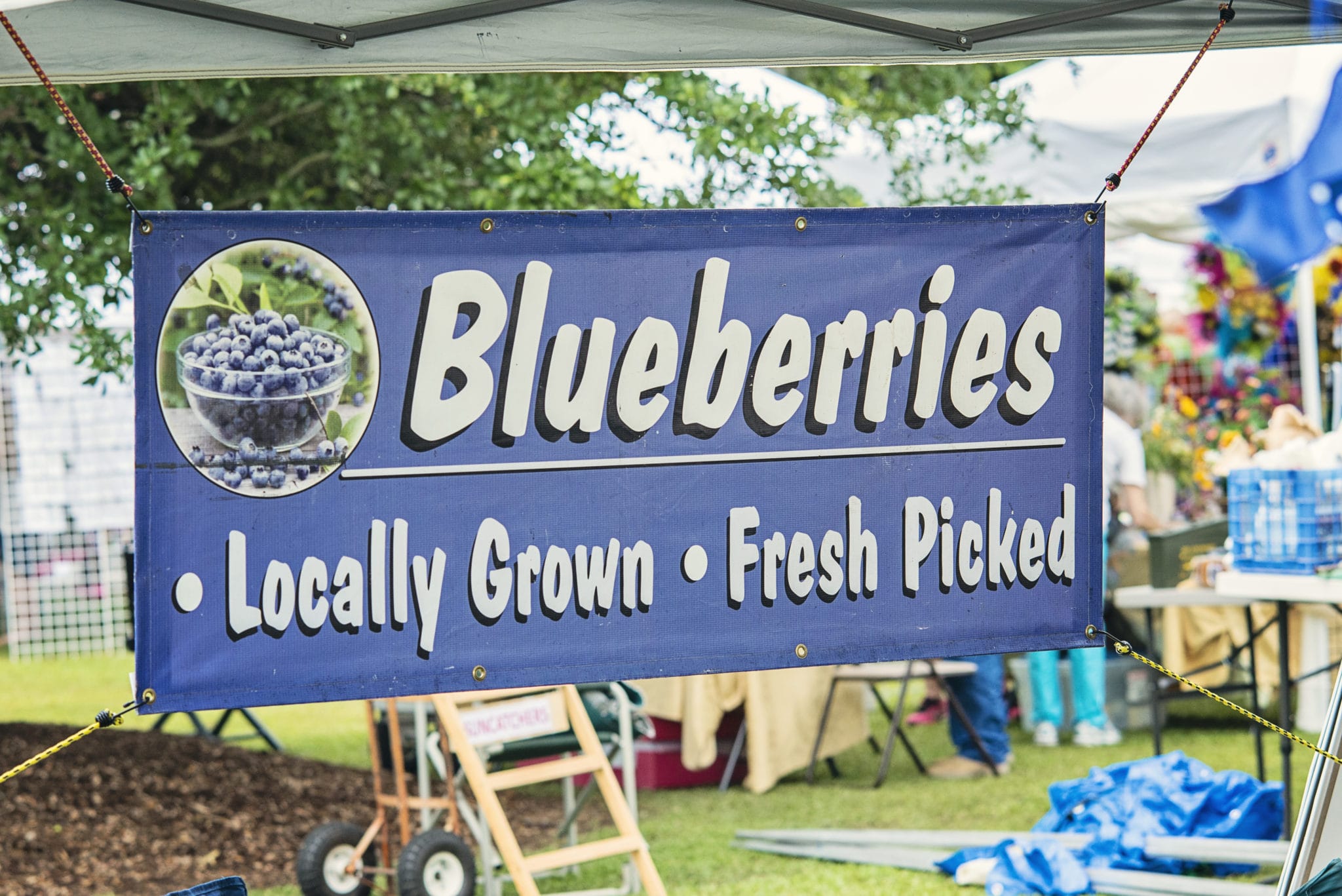 Banner announces fresh blueberries