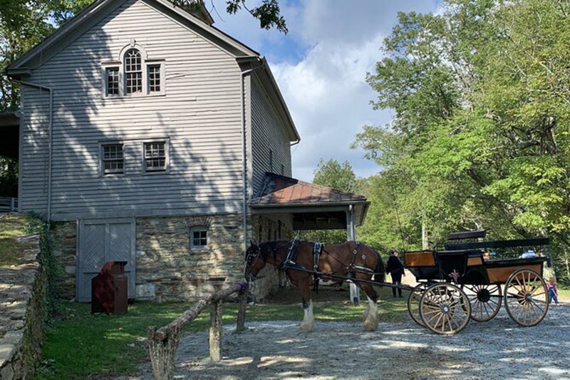 Horses wait to pull a beautiful carriage at Moses Cone Park