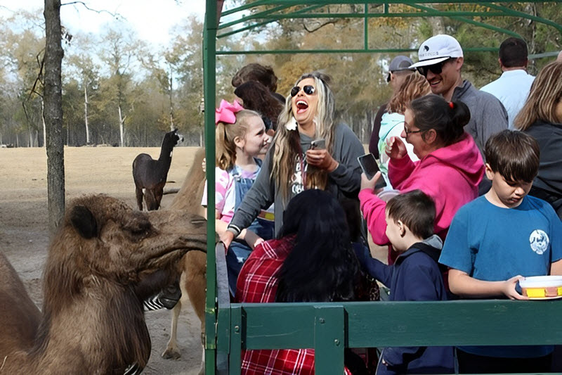 Visitors enjoy feeding the animals at Eudora Wildlife Safari Park in Salley, SC