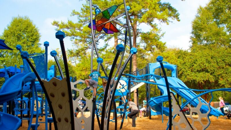 fun things to do at Freedom Park in Charlotte NC