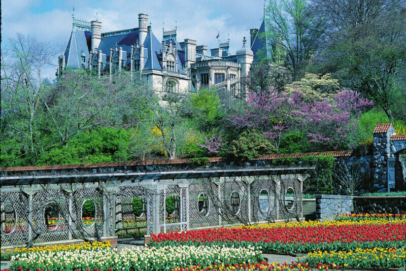 Visiting the Biltmore Estate is one of the best things to do in Asheville.