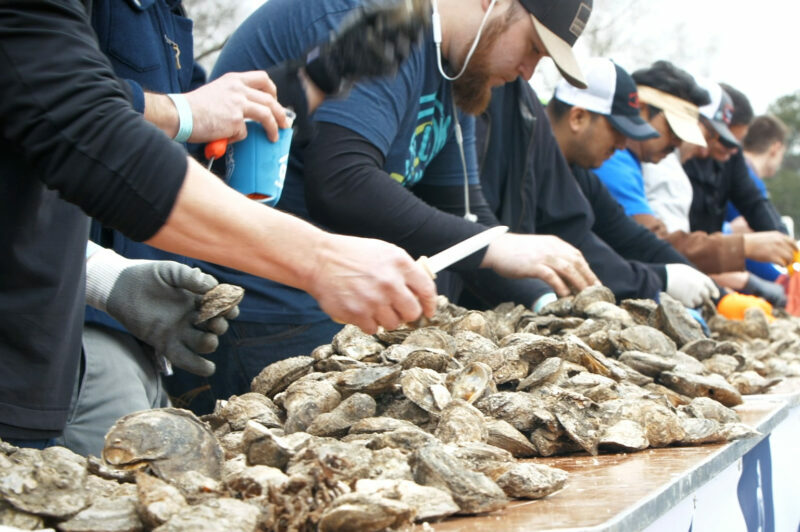 Lowcountry Oyster Festival shucking