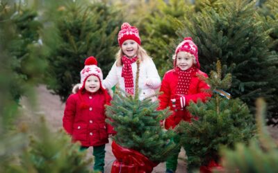 The 10 Best NC Christmas Tree Farms