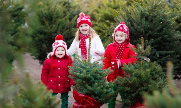 The 10 Best NC Christmas Tree Farms