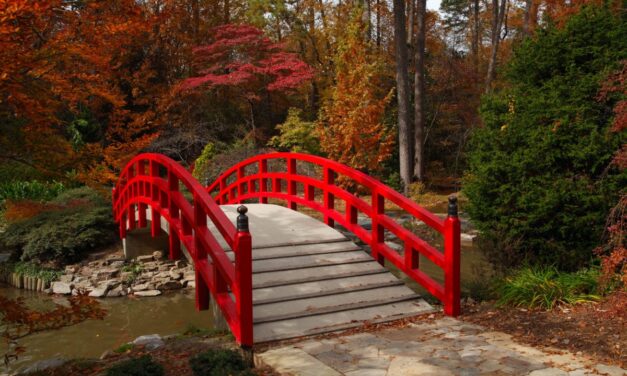 Life in Bloom: The 7 Most Beautiful Botanical Gardens in NC