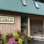 The Appalachian Rivers Aquarium: Is It Fun For Kids?