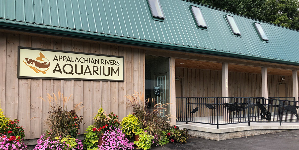 The Appalachian Rivers Aquarium: is it Fun for Kids?
