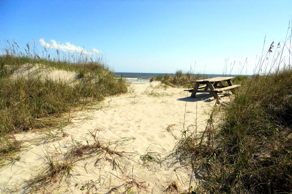 Hunt For A Missing British Fort On Bear Island, NC Carolina Traveler