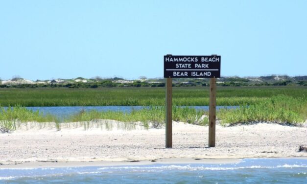 Hunt For A Missing British Fort On Bear Island, NC