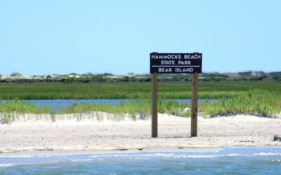 Hunt For A Missing British Fort On Bear Island, NC