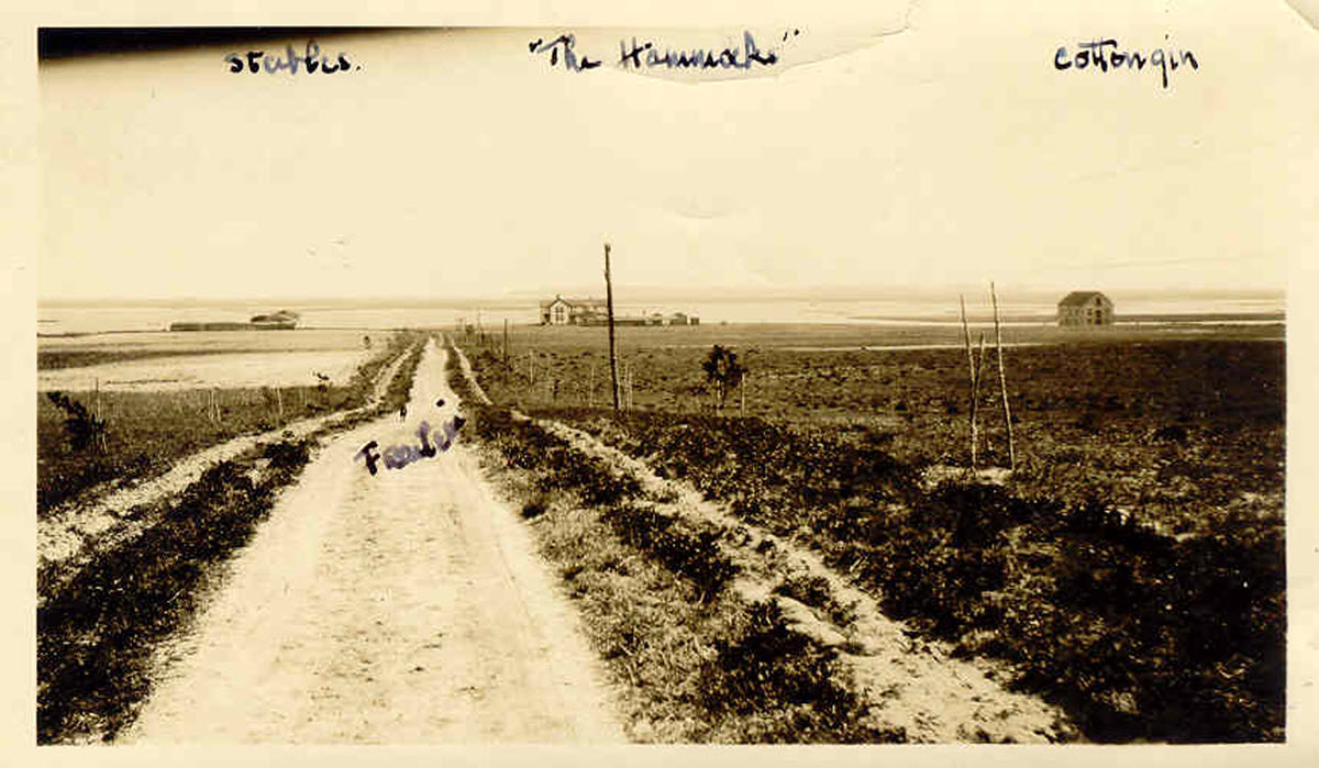 Archive photo of The Hammocks during Dr. Sharpe era
