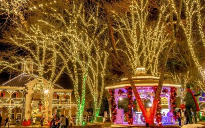 The 14 Best Christmas Lights In NC