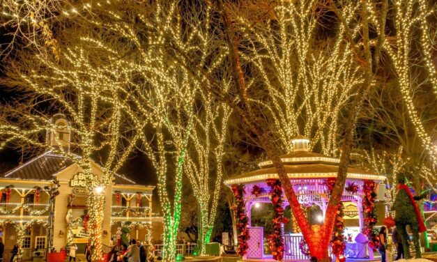 The 14 Best Christmas Lights In NC
