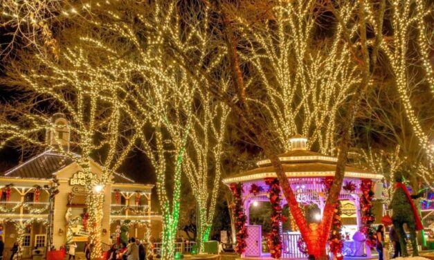 The Best Christmas Lights and Festivals in Charlotte, NC