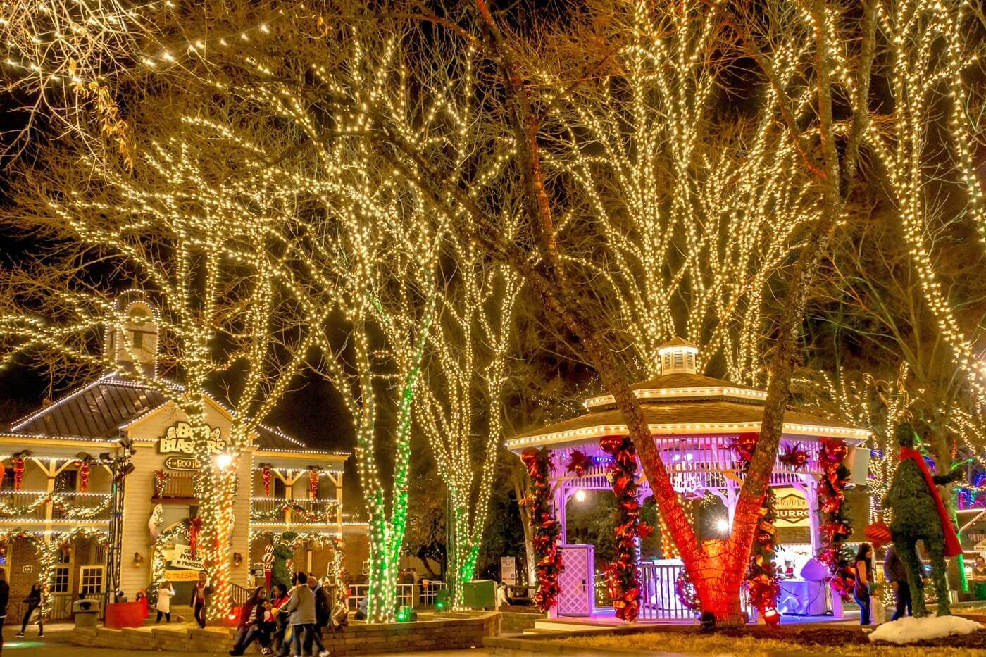 Top 14 Kid-Friendly Christmas Lights Shows in North Carolina