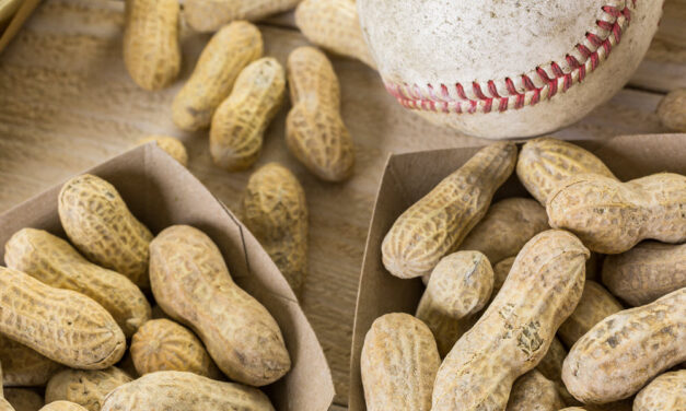 Peanut Trail: Five Delicious Places to Shop for Local NC Peanuts