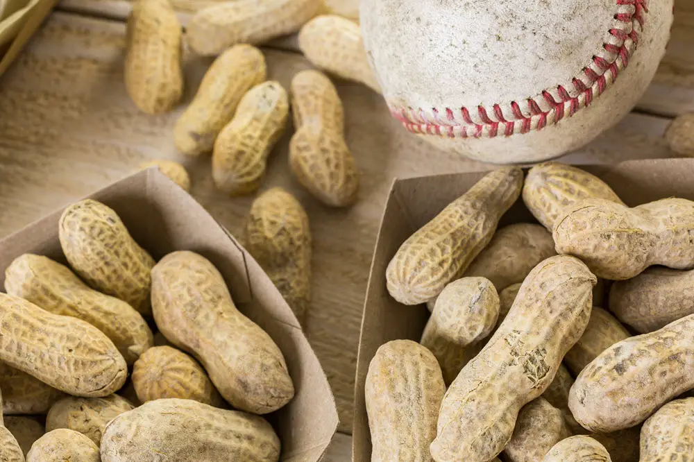 Peanuts in the shell and a baseball