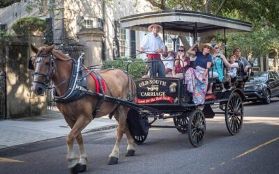 Explore 2 Of Charleston’s Thrilling Horse Carriage Tours
