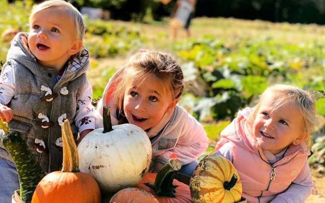 The 8 Best SC and NC Pumpkin Patches