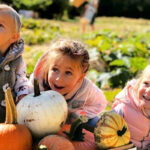 The 8 Best Pumpkin Patches in NC and SC For Fall Fun