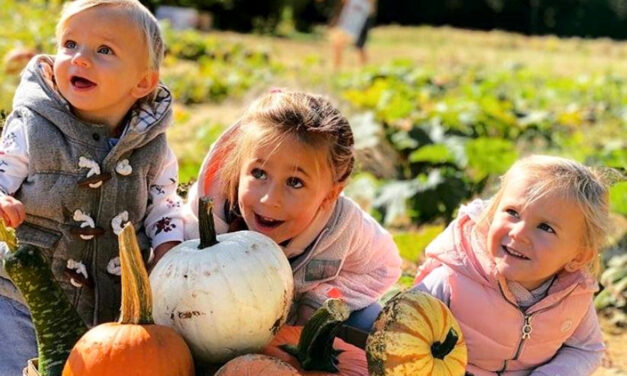 The 8 Best Pumpkin Patches in NC and SC For Fall Fun