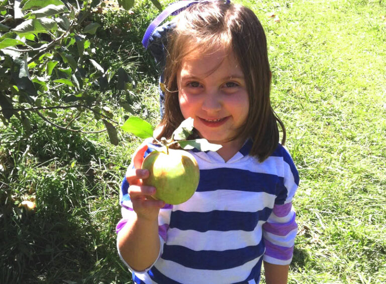 Where's The Best Apple Picking Near Me? 2023 Apple Festivals in the