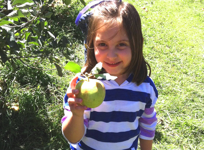 child enjoys apple picking in the Carolinas