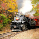 Take These 2 Train Rides Through A Kaleidoscope Of Fall Colors