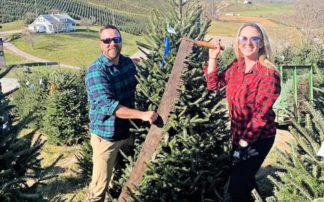 Find The Perfect Tree At A NC Christmas Tree Farm