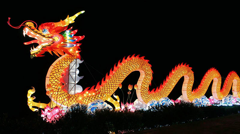 Chinese Lantern Festival - Dragon