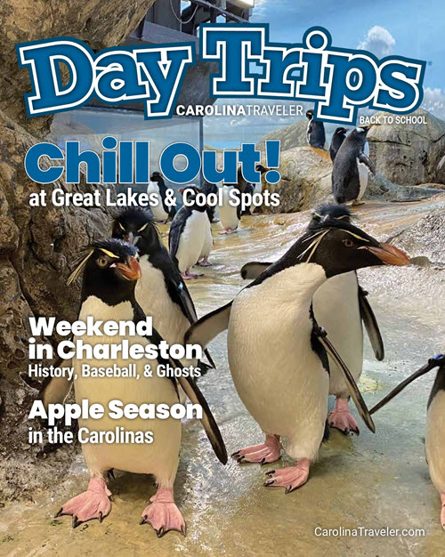 Day Trips magazine cover midsummer 2021