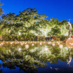 20 Must-See Holiday Light Displays in the Carolinas