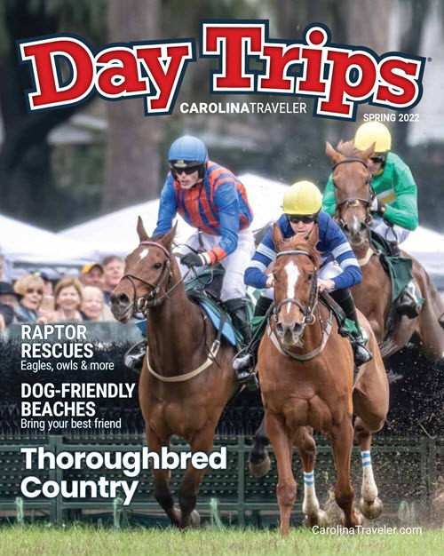 Day Trips Magazine cover spring 2021