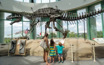 The Ultimate 2026 Bucket List For Carolina Travelers