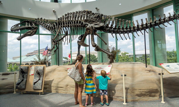 The Ultimate 2026 Bucket List For Carolina Travelers