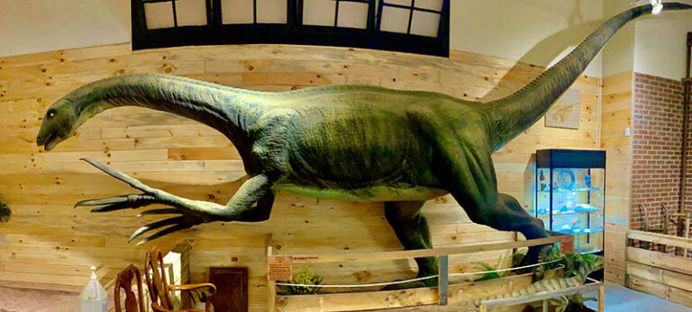 Top Dinosaur Attractions In The Carolinas For Kids (and Kids At Heart ...