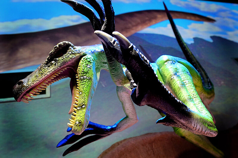 velociraptor Greensboro Science Center e1768152590336