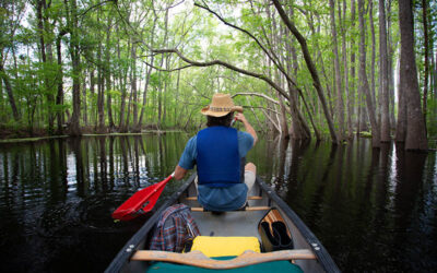 5 Days of History, Wildlife, and Active Adventures in South Carolina’s ACE Basin