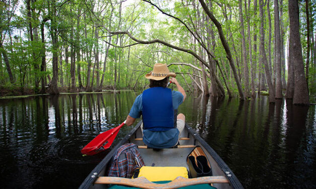 5 Days of History, Wildlife, and Active Adventures in South Carolina’s ACE Basin