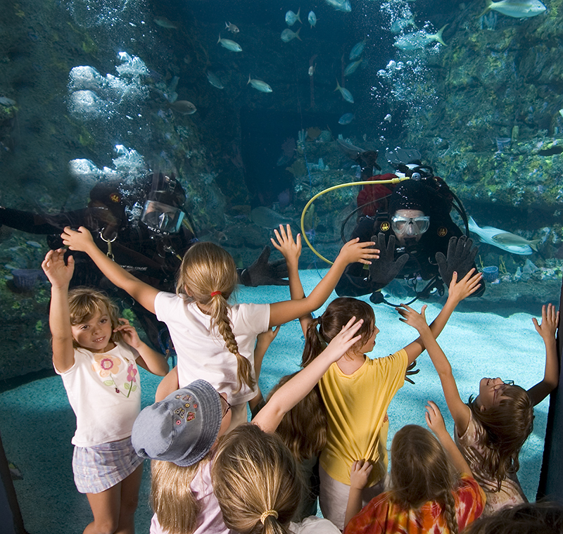 North Carolina Aquarium at Fort Fisher