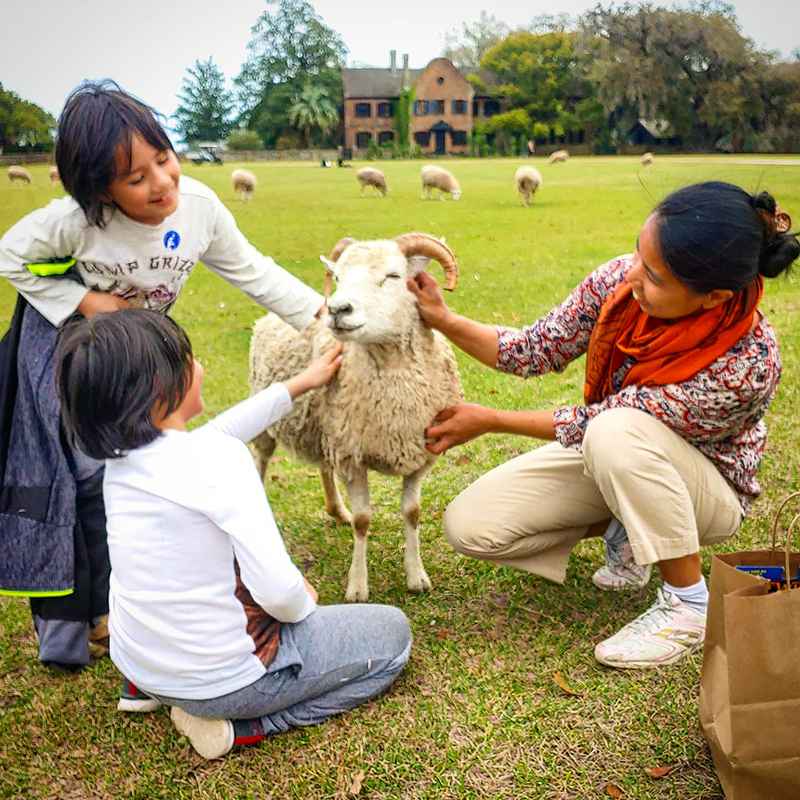 Middleton Place - kids petting a sheep