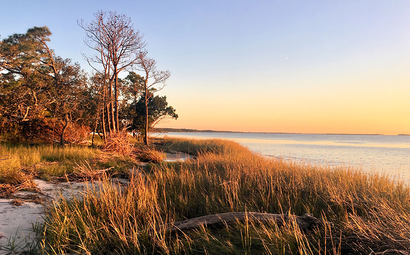 a nature path along the ocean