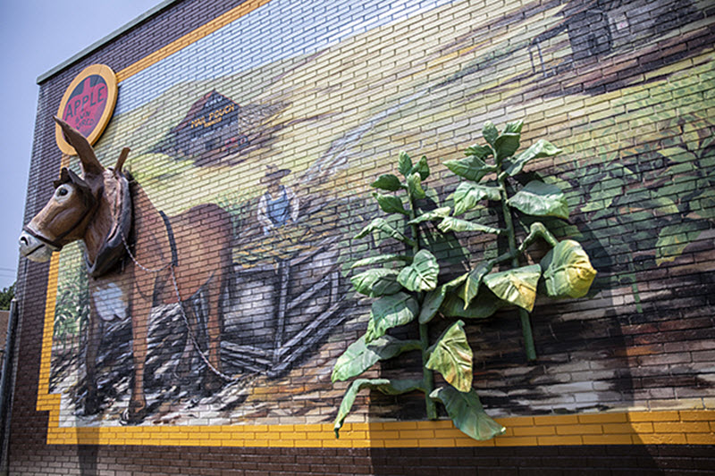 Donkey and tobacco plant in Sanford mural trail