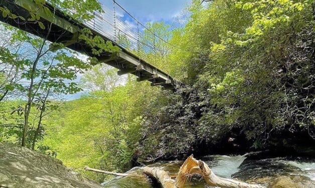 Raven Cliff Falls Suspension Bridge