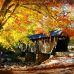 Nostalgic Small-Town Fall Experiences in the Heart of NC