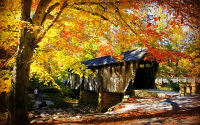 Nostalgic Small-Town Fall Experiences in the Heart of NC