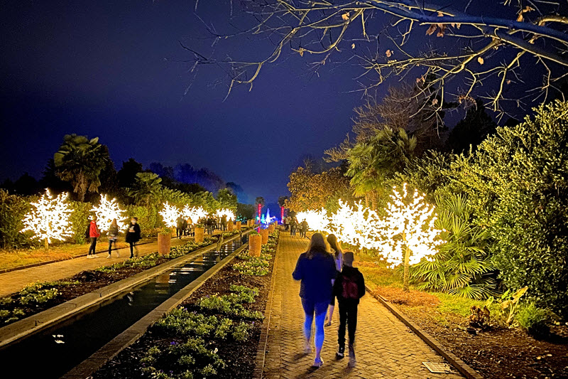 Stowe Botanical Garden in Christmas lights