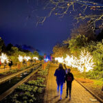 Christmas County: A Holiday Extravaganza in Gaston County