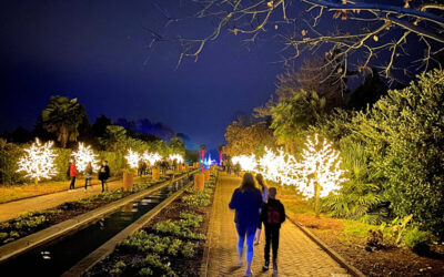 The Best Small Town Christmas Celebrations In The Carolinas